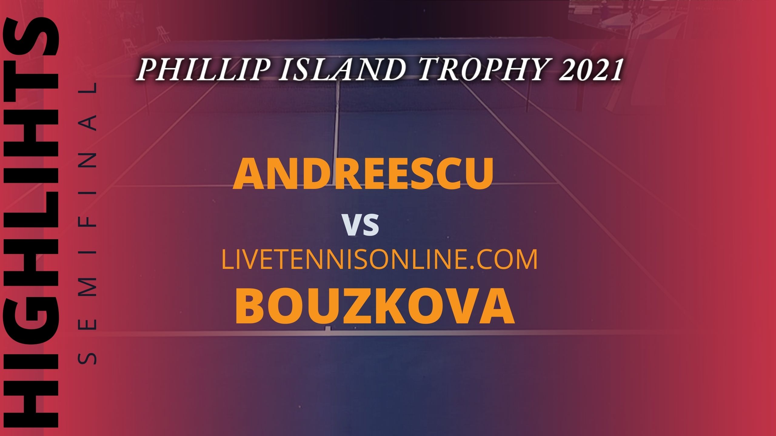 Bouzkova Vs Andresscu SF Highlights 2021