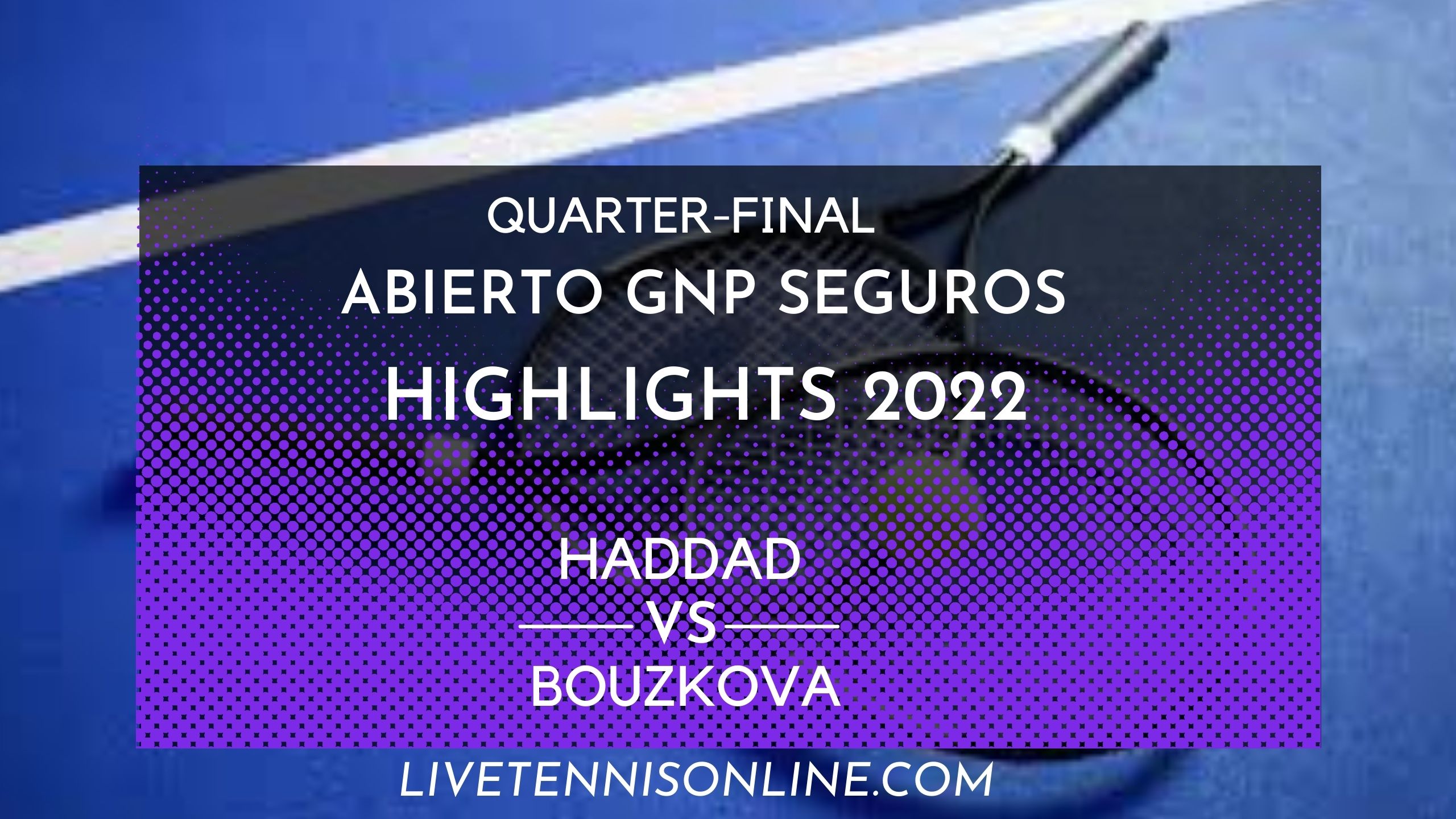 Haddad Vs Bouzkova QF Highlights 2022